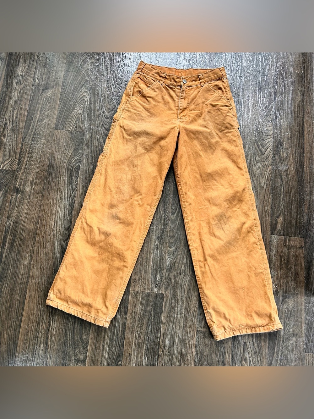 Carhartt Flannel Lined Pants